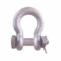 CM Columbus McKinnon M857G Bolt & Nut Anchor Shackles